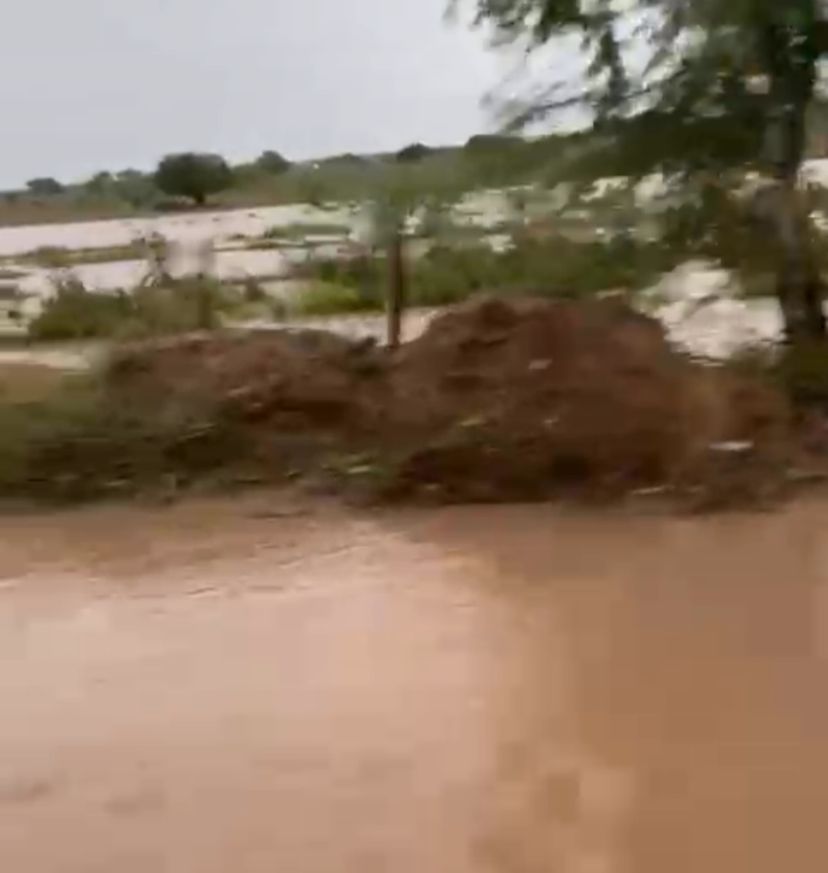 Trecho próximo a Olindina registra alagamentos e quedas de árvores