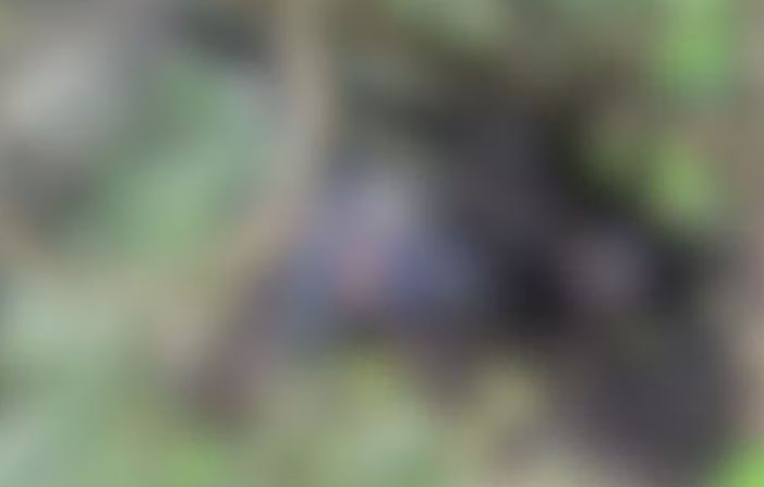 Corpo de mototaxista é encontrado carbonizado em Itaporanga D’Ajuda