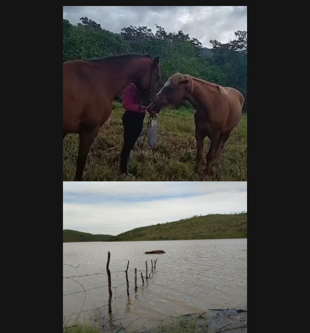 Sonho realizado vira dor: Valéria perde cavalo após enchente em Riachão do Dantas