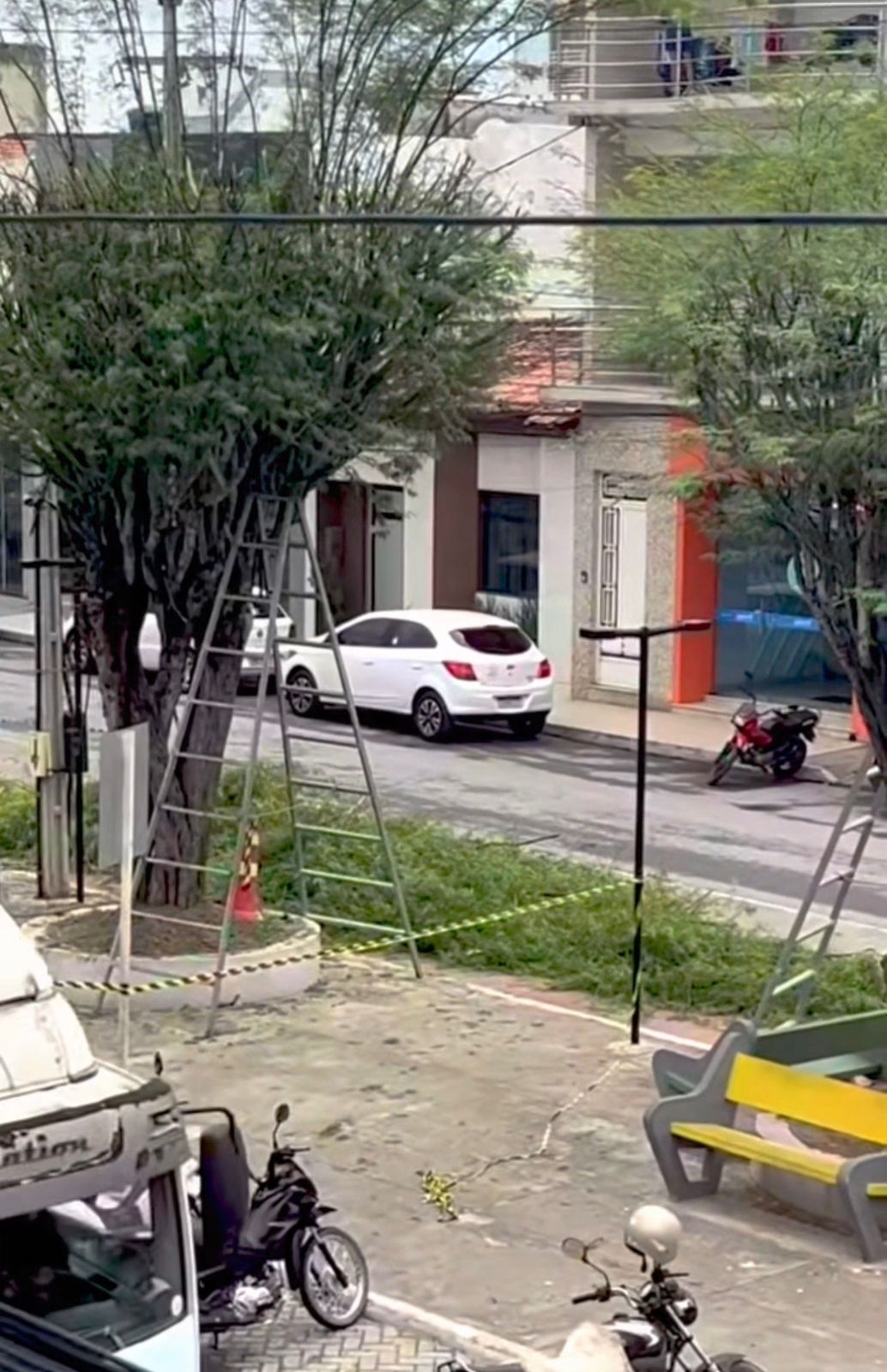 Moradores se revoltam com destruição de árvores em Tobias Barreto