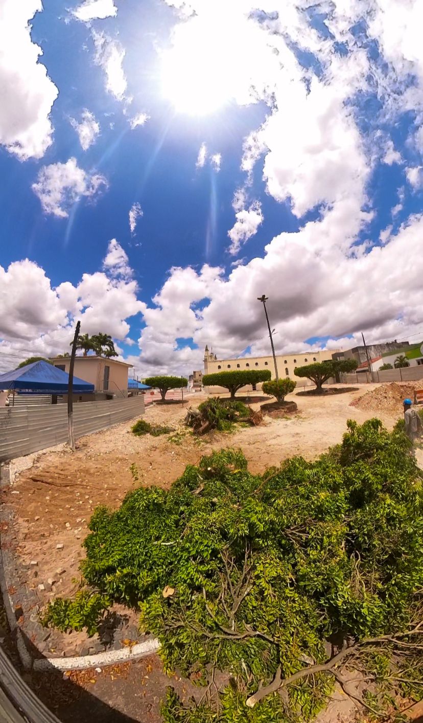 Moradores denunciam destruição de áreas verdes e cobram preservação ambiental em Tobias Barreto