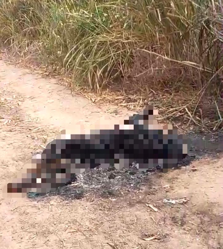 Corpo carbonizado é encontrado às margens da BR‑235 em Laranjeiras