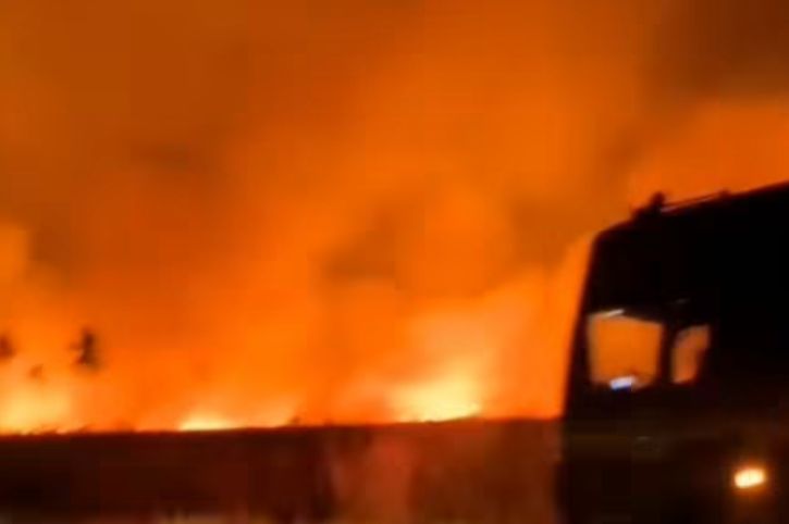 Incêndio de grande proporção se espalha por plantação de laranja no povoado Estancinha, em Lagarto
