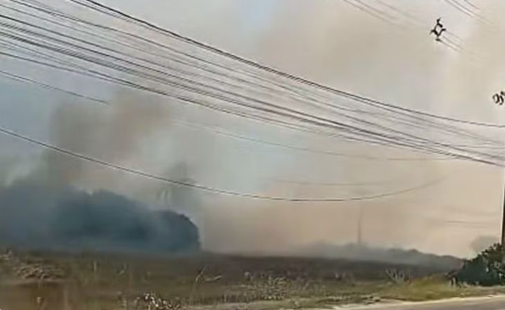 Incêndio em vegetação prejudica trânsito e mobiliza bombeiros e GTA em Aracaju