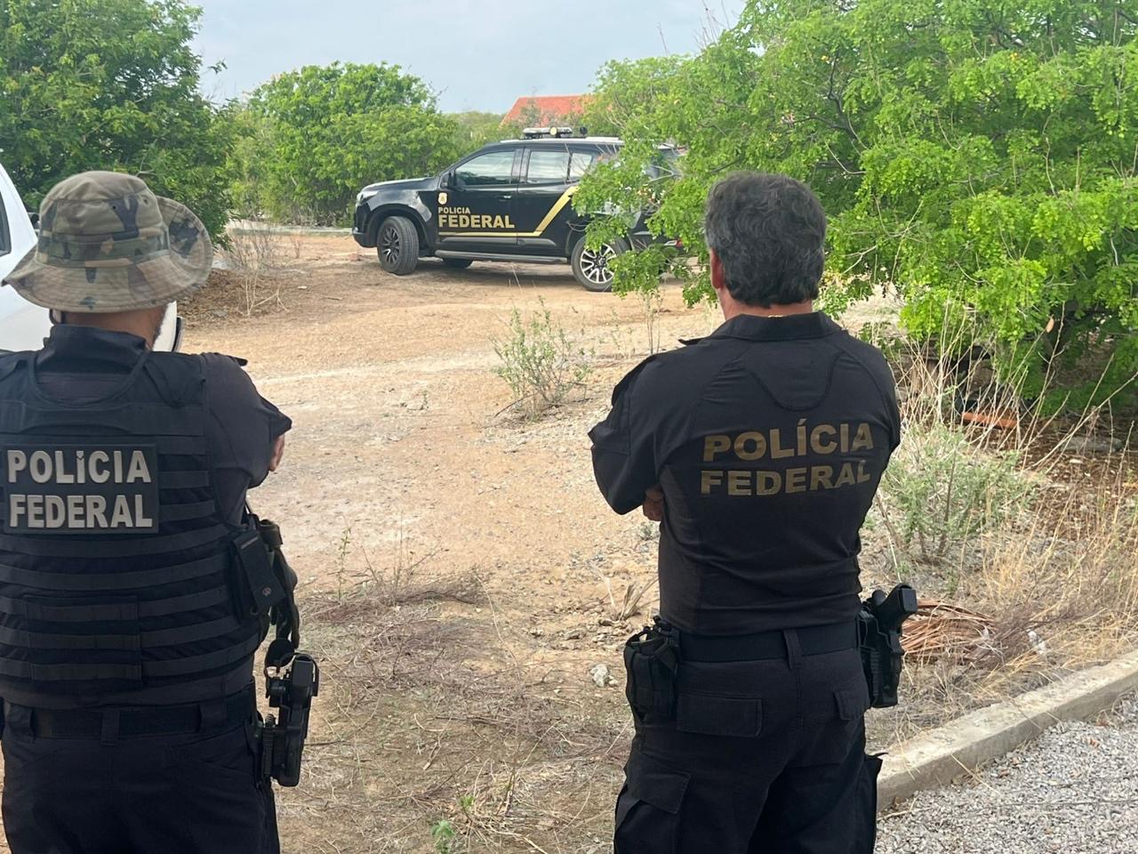 PF deflagra operação contra disseminação de doença que ameaça Ararinha-Azul em Curaçá (BA)