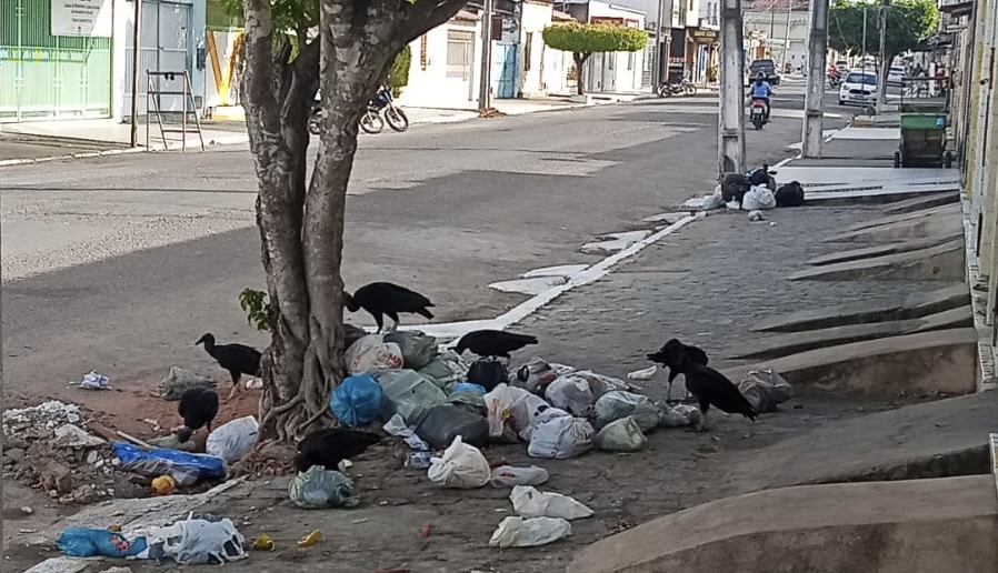 Coleta de lixo em Tobias Barreto gera revolta e expõe crise na limpeza urbana