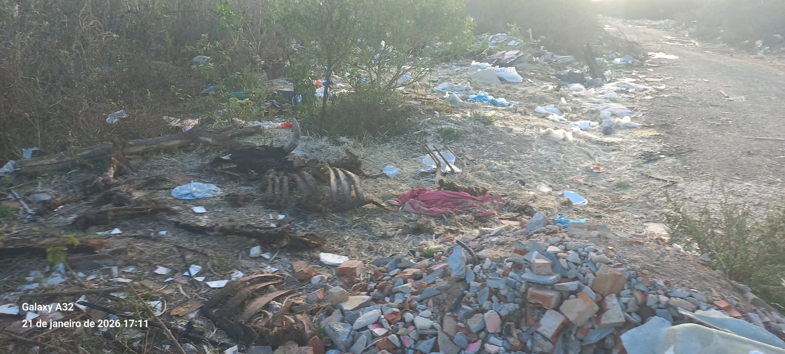 Acúmulo de lixo na rotatória entre Padre Pedro e Irmã Dulce se transforma em lixão a céu aberto em Tobias Barreto