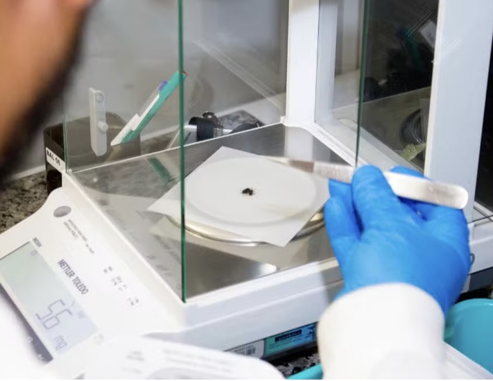Exame toxicológico passa a ser obrigatório para tirar a primeira CNH nas categorias A e B