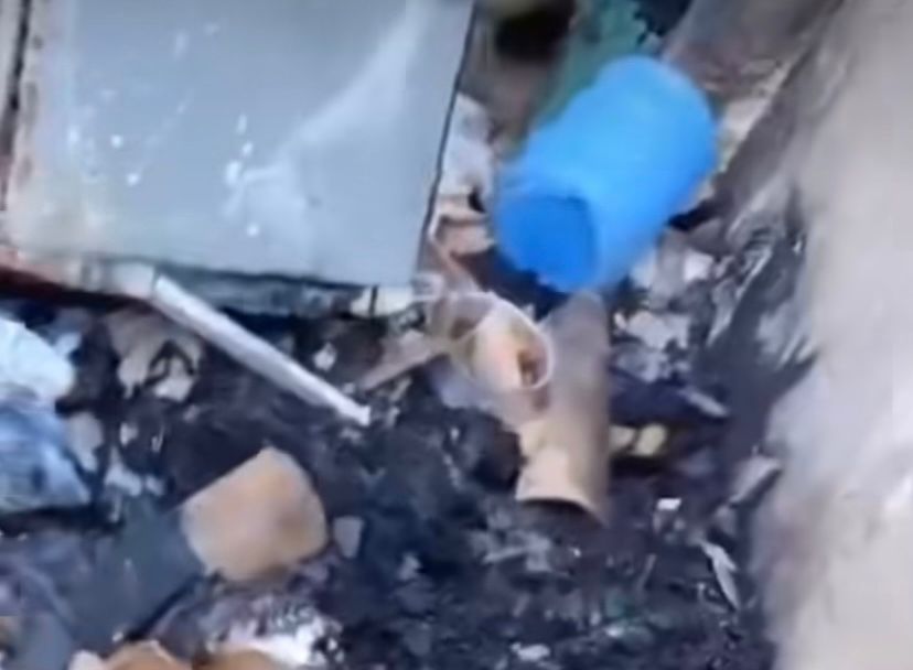 Mulher é brutalmente agredida pelo companheiro na zona rural de Moita Bonita