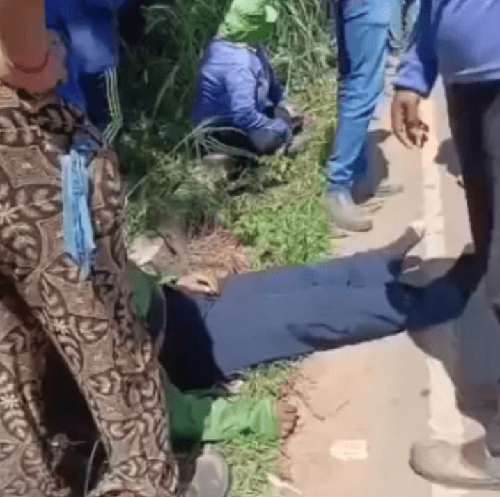 Homem morre e 28 pessoas ficam feridas após ataque de abelhas em ônibus em Capela (SE)