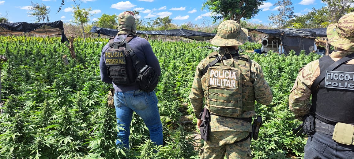 Reprodução/Polícia