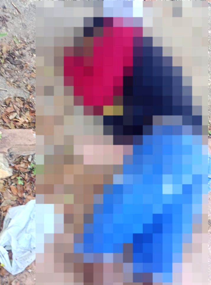 Imagem Reprodução/internet