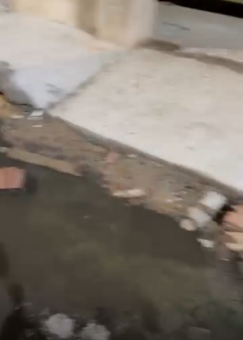 Imagem Reprodução/internet 