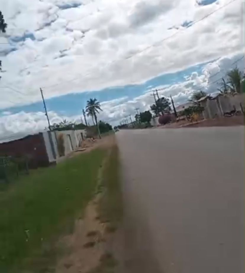 Imagem Reprodução