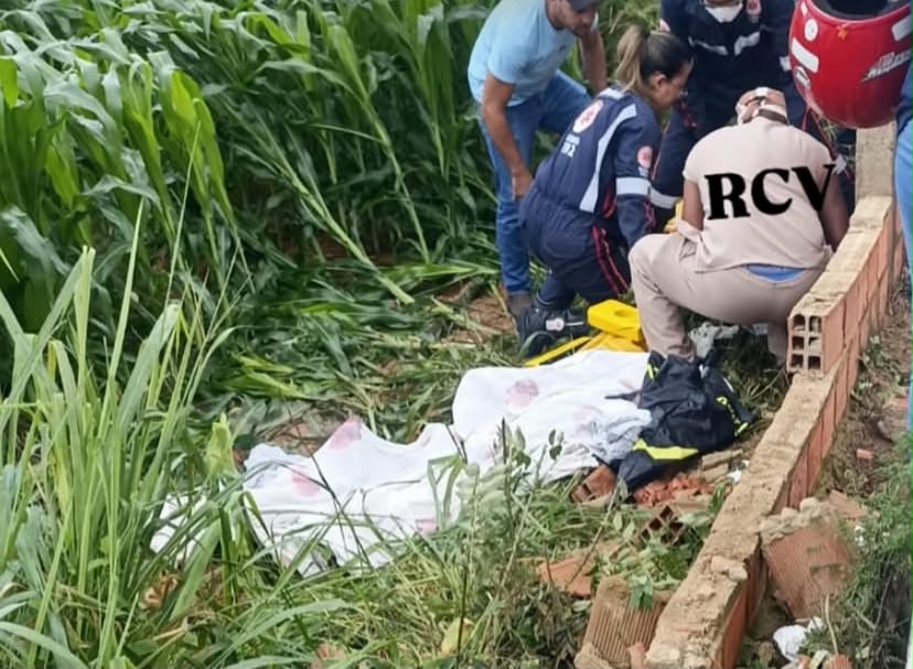 Imagem Reprodução/Luiz Carlos Focca