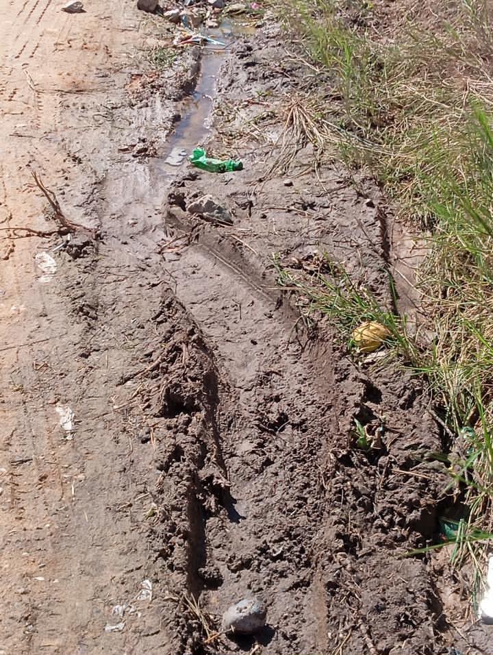 Imagem Reprodução/moradores