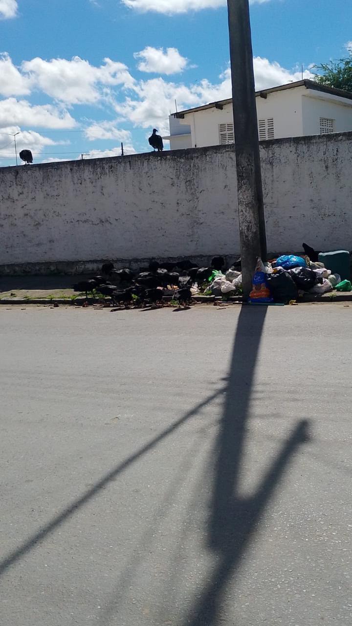 Imagem enviada por morada