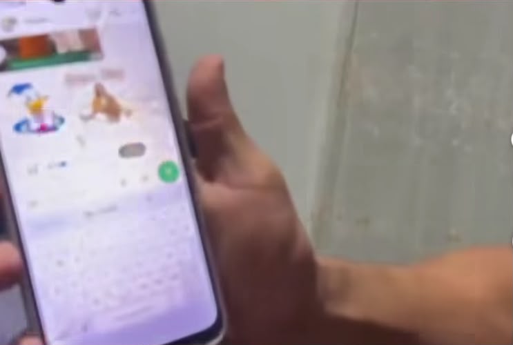 Imagem Reprodução/internet