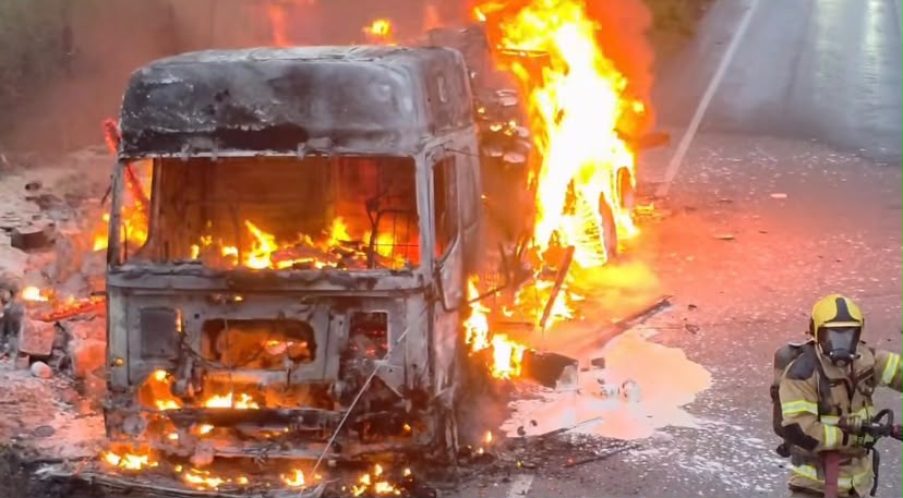 Imagem Reprodução/internet