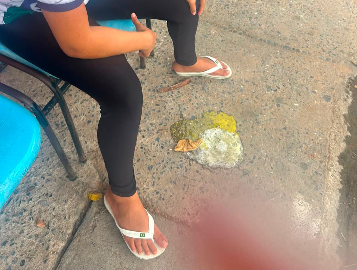 Imagem Reprodução