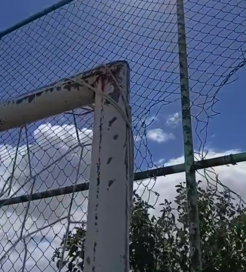 Imagem Reprodução/internet