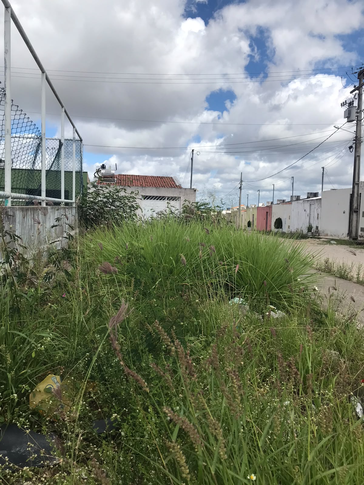 Imagem Reprodução/moradores