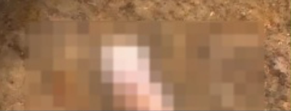 Imagem Reprodução/internet
