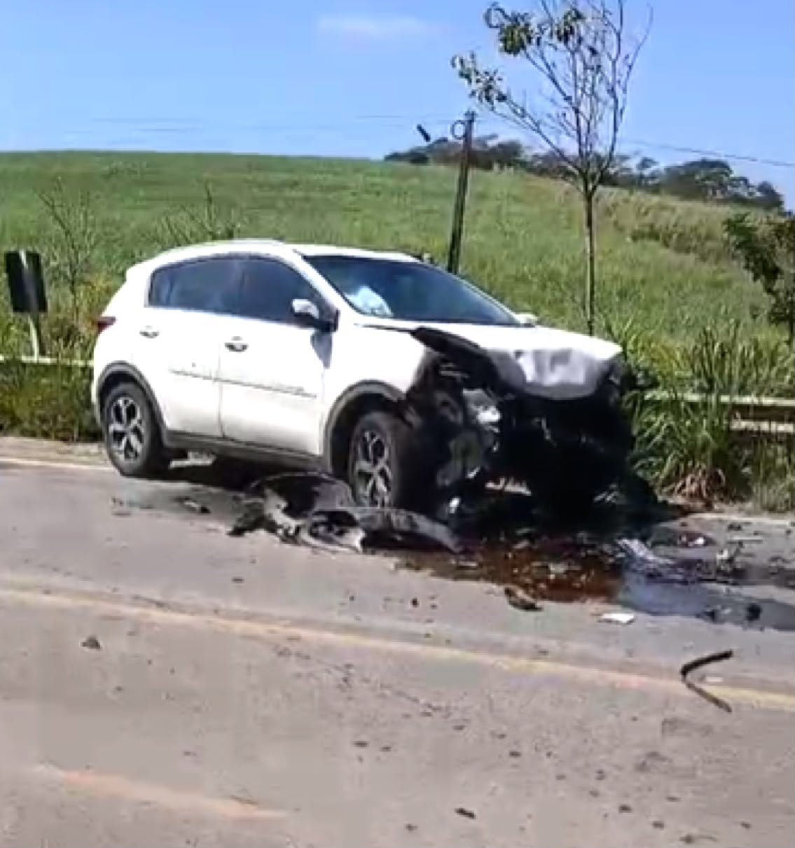 Imagem Reprodução/Fan F1
